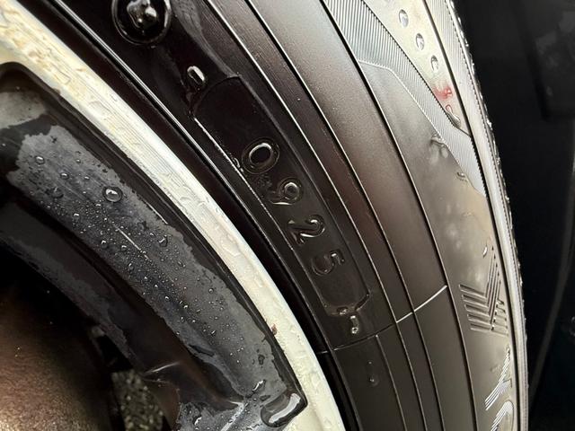 ステップワゴンスパーダ Ｚ　インターナビセレクション　フリップダウンモニター　両側電動スライドドア　寒冷地仕様　純正ＨＤＤナビ　バックカメラ　ＥＴＣ　クルーズコントロール　ＨＩＤヘッドライト　スマートキー　フルセグＴＶ　ＣＤ／ＤＶＤ　ステアリングスイッチ（62枚目）