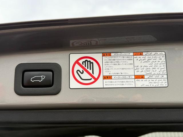 エスティマ アエラス　プレミアム　４ＷＤ　寒冷地仕様　両側電動スライドドア　純正９型ナビ　バックカメラ　セーフティセンスＣ　クルーズコントロール　合皮レザーシート　パワーバックドア　クリアランスソナー　純正オプション１７インチアルミ（47枚目）