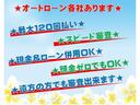 アクシス　４ＷＤ　純正ＤＶＤナビ　バックカメラ　ＣＤ　ＭＤ　純正アルミホイール　キーレスエントリー　ＥＴＣ　Ｗエアバック　ＡＢＳ(39枚目)