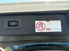 �ڥѥ�Хå��ɥ��ۥ��ޡ��ȥ����䱿ž�ʤΥܥ���򲡤������ǥꥢ�����Ȥ���ư�ǳ��Ĥ��ޤ�����ʪ����äƤ�����䡢�⤤���֤ˤ���Хå��ɥ����Ĥ��ݤ������ʵ�ǽ�Ǥ��� 7