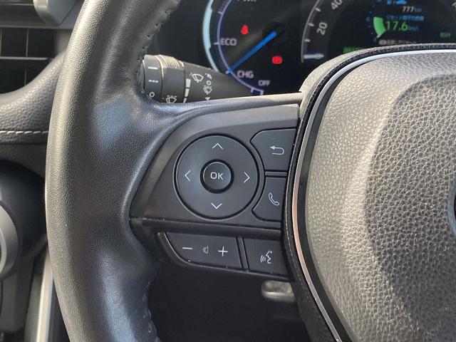 ＲＡＶ４ ハイブリッドＧ　メモリーナビ　ＤＶＤ再生　Ｂｌｕｅｔｏｏｔｈ　衝突被害軽減システム　フルセグ　バックカメラ　ＥＴＣ　ＬＥＤヘッドランプ　スマートキー　キーレス　レーンアシスト　オートマチックハイビーム　シートヒーター（10枚目）
