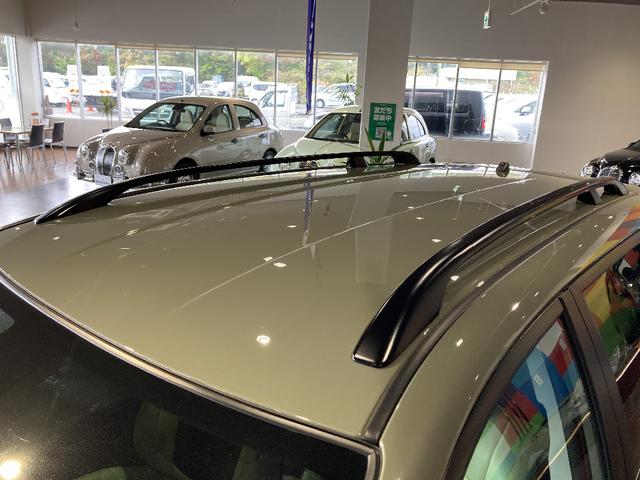 MITSUOKA RYUGI WAGON ADVENTURE