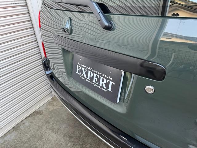 プロボックス ハイブリッドＦ　ステルスブラックエディションフルキット／新車ベースアーミーグリーンＡＰ／グリルマーカー／１０、１ディスプレイオーディオ／ＴＶ／ヴィンテージシートカバー／肘掛け／ＴＯＹＯオープンカントリー／マットアルミ（42枚目）