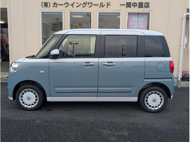 ムーヴキャンバス ストライプスＧ　４ＷＤ　パノラマモニター対応カメラ（6枚目）