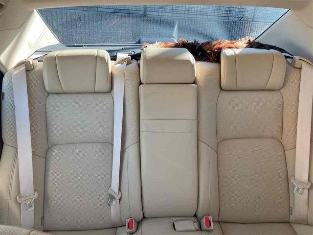 �����ɂ����X�����Ȃ��ꍇ�≓���ɂ��Z�܂��̕��A�ԗ���Ԃ̏ڍׂ��m�肽�����͂��C�y�ɂ��A����������