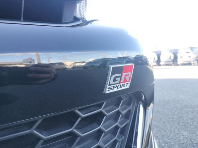 ハリアー エレガンス　ＧＲスポーツ　ＥＴＣ　バックカメラ　オートクルーズコントロール　パワーシート　衝突被害軽減システム　エアロ　ナビ　ＴＶ　オートマチックハイビーム　オートライト　ＬＥＤヘッドランプ　アルミホイール　スマートキー（31枚目）