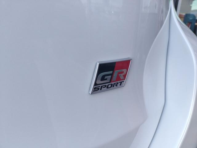 ハリアー エレガンス　ＧＲスポーツ　ＥＴＣ　バックカメラ　オートクルーズコントロール　パワーシート　衝突被害軽減システム　エアロ　ナビ　ＴＶ　オートマチックハイビーム　オートライト　ＬＥＤヘッドランプ　アルミホイール　スマートキー（43枚目）