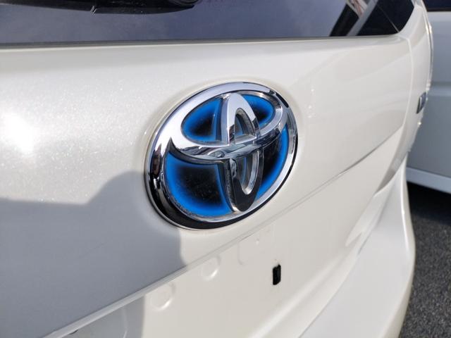 ���Ԃ̒m�����Ȃ��Ă����v�ł��I�F�l�̂����X���X�^�b�t�ꓯ�A�S��肨�҂����Ă���܂��B