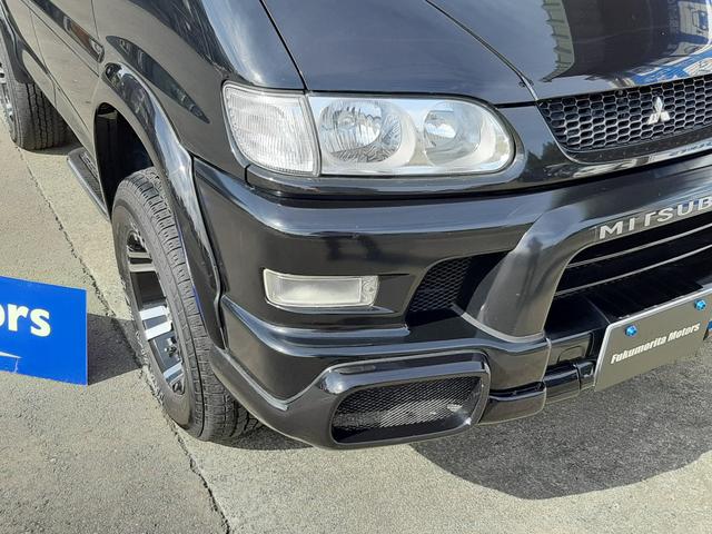 デリカ　スペースギア　バグガード デリカスペースギア用バグガード（サンルーフ用）