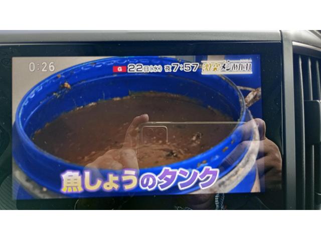 フォレスター アドバンス　４ＷＤ　ＥＴＣ　Ｂｌｕｅｔｏｏｔｈ　ワンオーナー　定期点検記録簿　純正ナビ　フルセグＴＶ　ＣＤ　ＤＶＤ　バックカメラ　ＦＭ　ＡＭ　サイドカメラ　電動シート（31枚目）