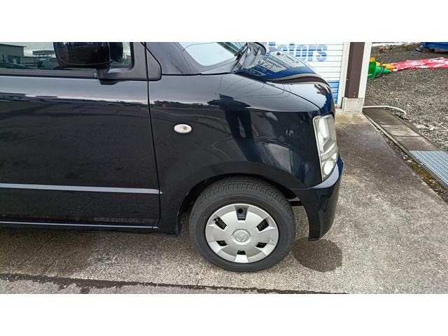 �^�]�ȑ��̃t�F���_�[���̓T�r���Ȃ����ꂢ�ȏ�Ԃł��B