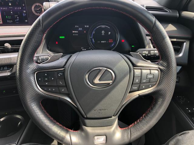 ＵＸ ＵＸ２５０ｈ　Ｆスポーツ　４ＷＤ　ＬＥＤライト　黒革シート　電動Ｒゲート　パワーシート　クルコン　ＤＶＤ再生　盗難防止装置　地デジ　スマートキー　メモリーナビ　バックモニター　ナビＴＶ　カーテンエアバッグ　キーフリー　ＡＳＣ（33枚目）