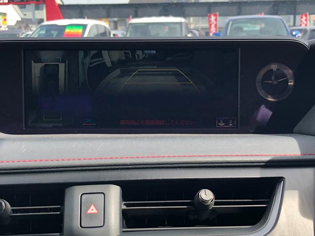ＵＸ ＵＸ２５０ｈ　Ｆスポーツ　４ＷＤ　ＬＥＤライト　黒革シート　電動Ｒゲート　パワーシート　クルコン　ＤＶＤ再生　盗難防止装置　地デジ　スマートキー　メモリーナビ　バックモニター　ナビＴＶ　カーテンエアバッグ　キーフリー　ＡＳＣ（35枚目）