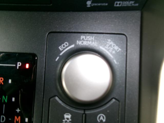 NX NX200t Fスポーツ AWD 前席シートヒーター 地デジTV Bluetooth接続 USB エアコン Bカメ 盗難防止装置 横滑り防止装置 キーレス ワンオーナー 黒革シート メモリーナビ LED ナビTV スマキー(47枚目)