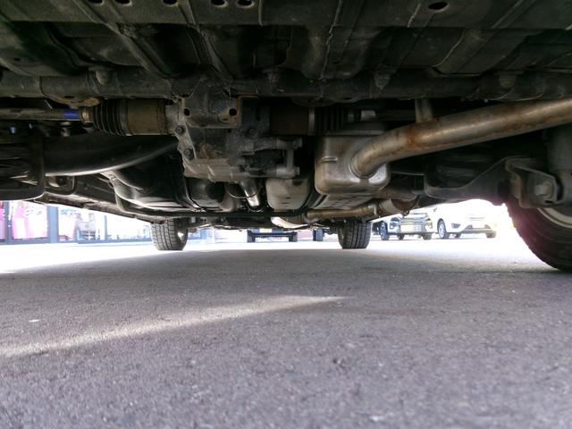 �������܂��܂�����܂��I