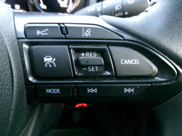 �N���[�Y�R���g���[���t���ŗL�����H���X�C�X�C�ł��ˁB