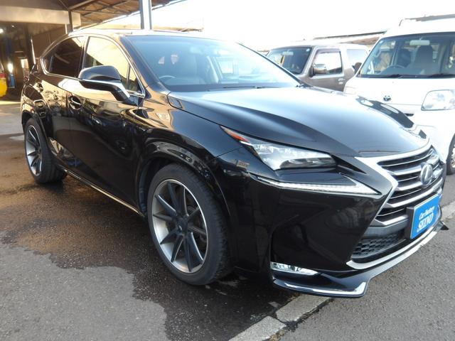 NX NX300h バージョンL SDナビ フルセグTV バックカメラ プッシュスタート ETC スマートキー ドライブレコーダー パワーバックドア 20インチレイズアルミホイール RS-R車高調ローダウン 黒革パワーシート(3枚目)