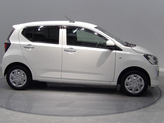 �������劽�}�I�����X�̍ۂ́A�����̂��Ԃł��z�����������B