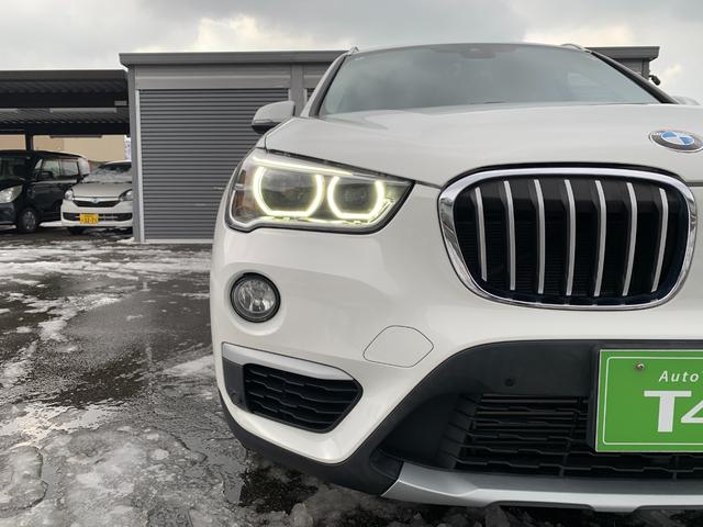 ���O���Ƃ��ɏ�ԗǍD�I���񌩂ɗ��ĉ������I