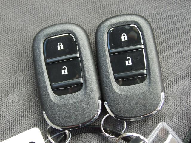 Ｎ－ＶＡＮ ｅ： ｅ：Ｌ４（30枚目）