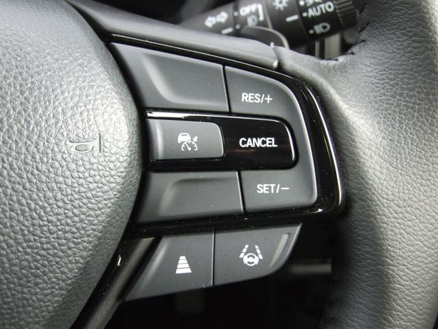 ＷＲ－Ｖ Ｚ＋ブラックスタイル（23枚目）