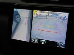 �����ϥ����Ǥɤ�ʻ��Ǥ�����夤����֤Ǥ��ޤ�������˥��ꥢ��󥹥��ʡ��������㳲ʪ����̤Ȳ��Ǥ��Τ餻�� 5