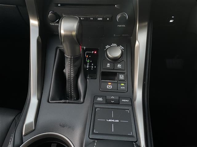 NX NX300h Iパッケージ(22枚目)