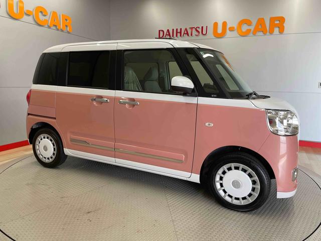 ムーヴキャンバス ストライプスG(4枚目)