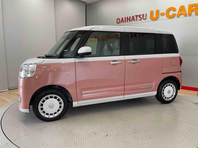 ムーヴキャンバス ストライプスG(5枚目)