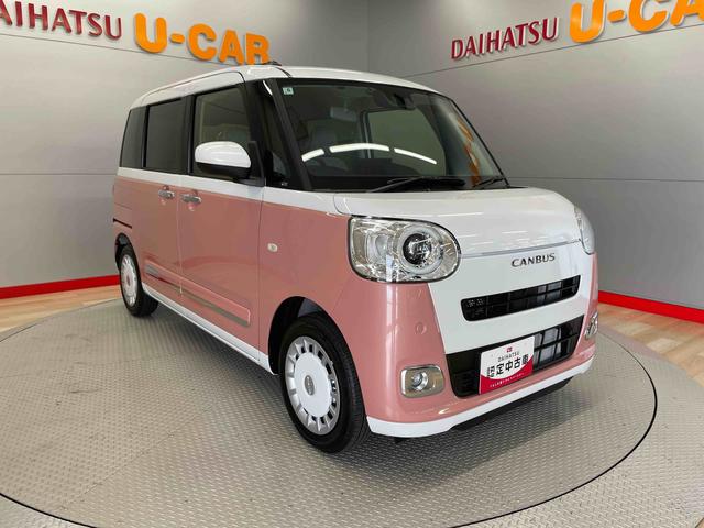 ムーヴキャンバス ストライプスG(6枚目)