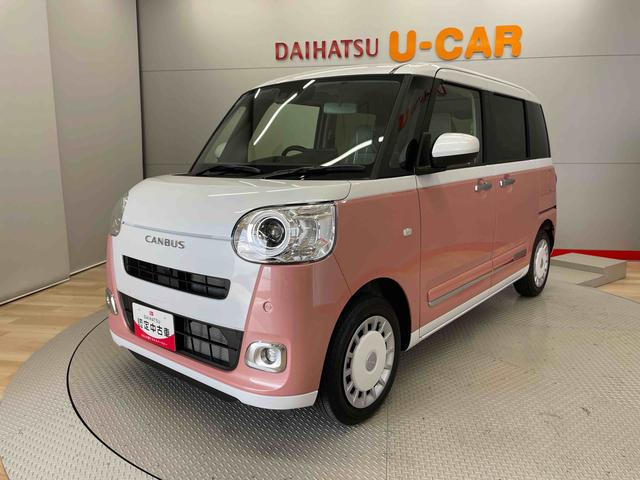 ムーヴキャンバス ストライプスG(7枚目)