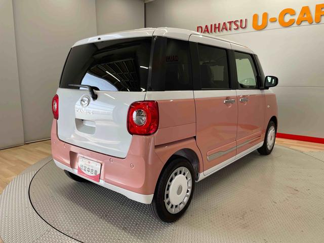 ムーヴキャンバス ストライプスG(8枚目)