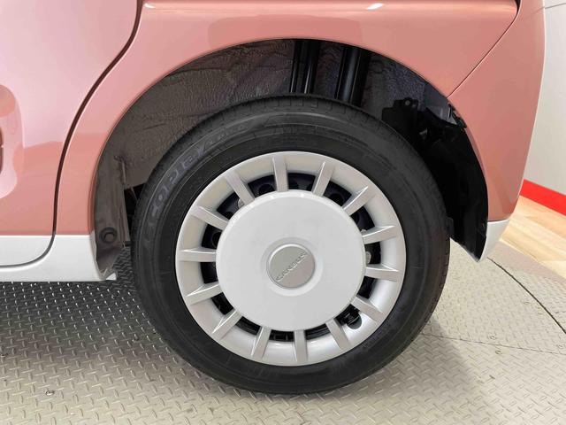 ムーヴキャンバス ストライプスG(20枚目)