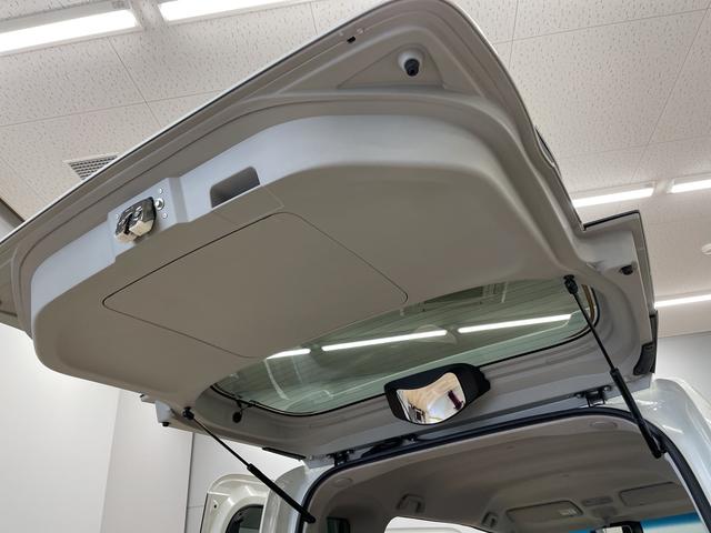 カスタムX トップエディションSAIII(55枚目)