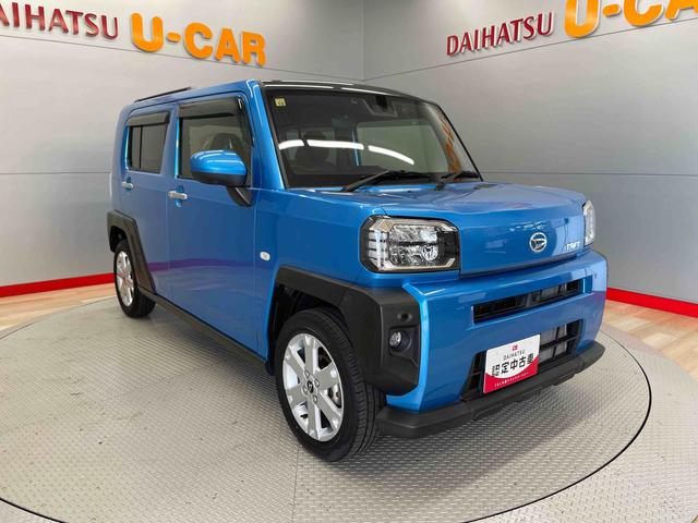 タフト G(6枚目)