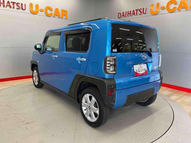 タフト G(9枚目)