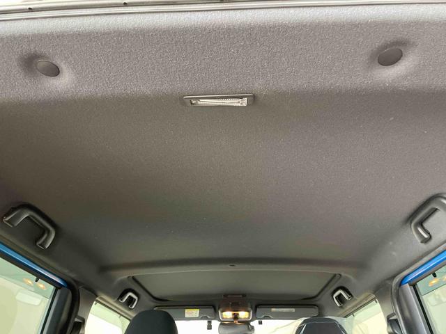 タフト G(12枚目)