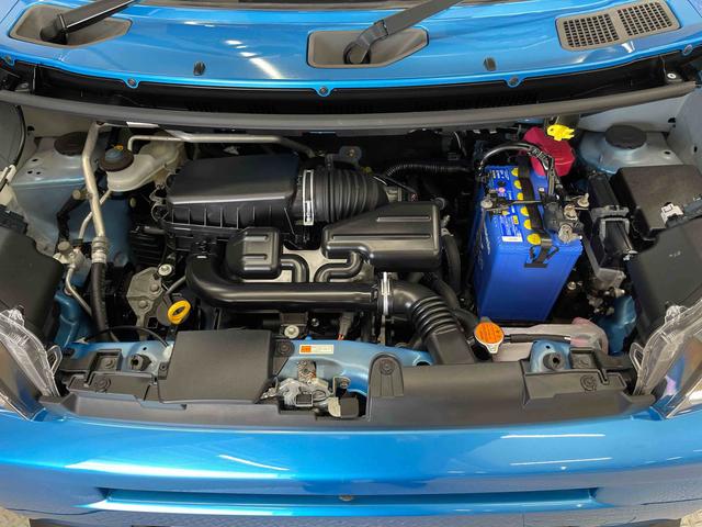 タフト G(17枚目)