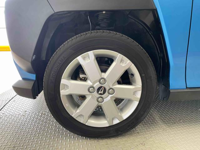 タフト G(19枚目)