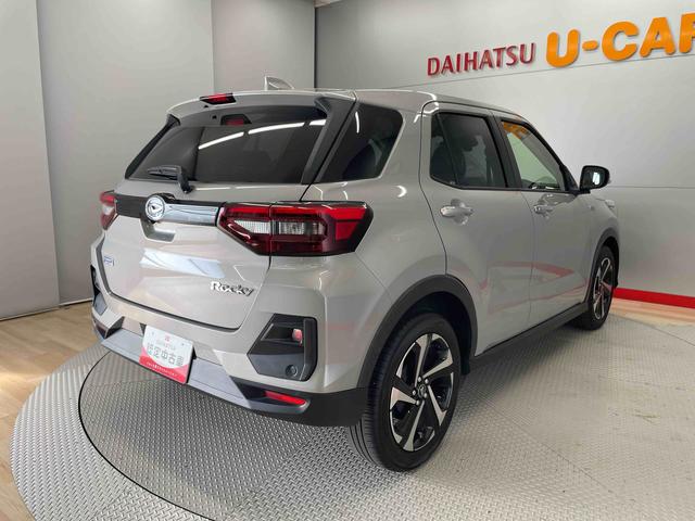 ロッキー プレミアムＧ　ＨＥＶ（8枚目）