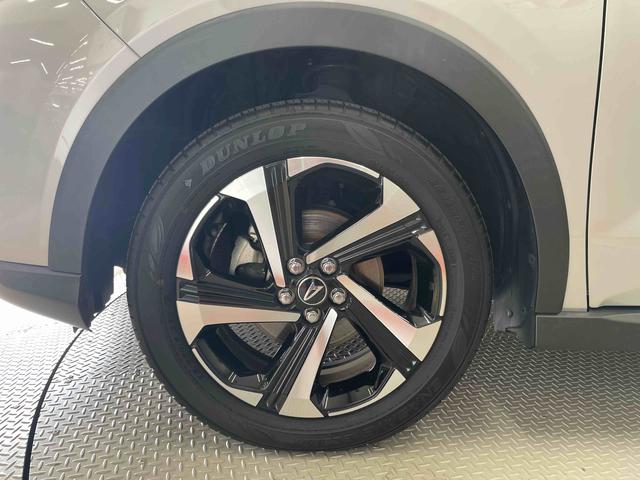 ロッキー プレミアムＧ　ＨＥＶ（19枚目）