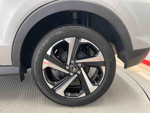 ロッキー プレミアムＧ　ＨＥＶ（20枚目）