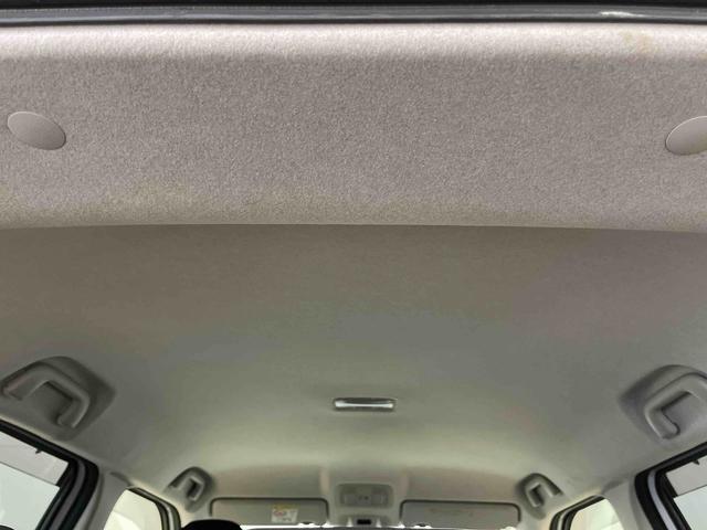 ロッキー G(12枚目)