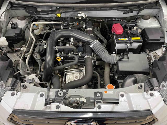 ロッキー G(17枚目)