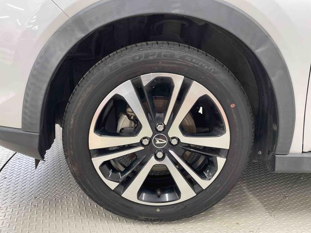 ロッキー G(19枚目)