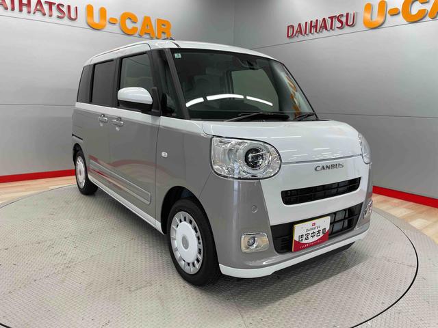 ムーヴキャンバス ストライプスＧ（6枚目）