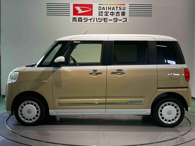 ムーヴキャンバス ストライプスＧ（4枚目）