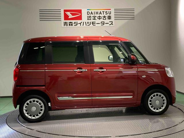 ムーヴキャンバス セオリーＧ（8枚目）