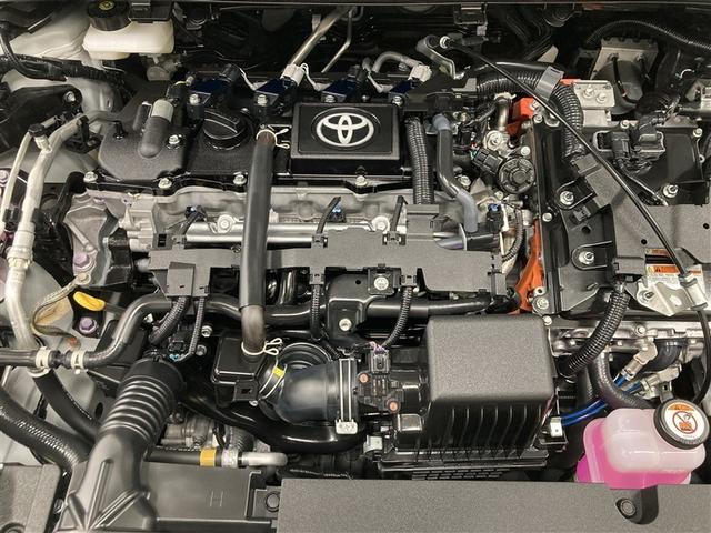 エンジンルームもきれいに洗剤とブラッシングでまるごとクリーニングしています。