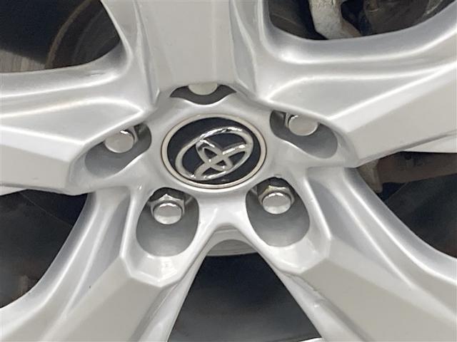 �S�̂̃X�^�C�����������߂鏃���A���~�z�C�[���B�@�~�܂��Ă��Ă����݊��̂���f�U�C���B